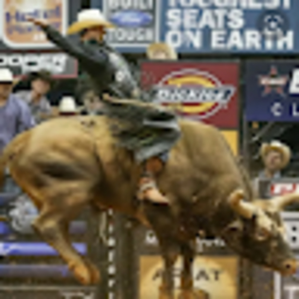 Meet your Posher, Clifford